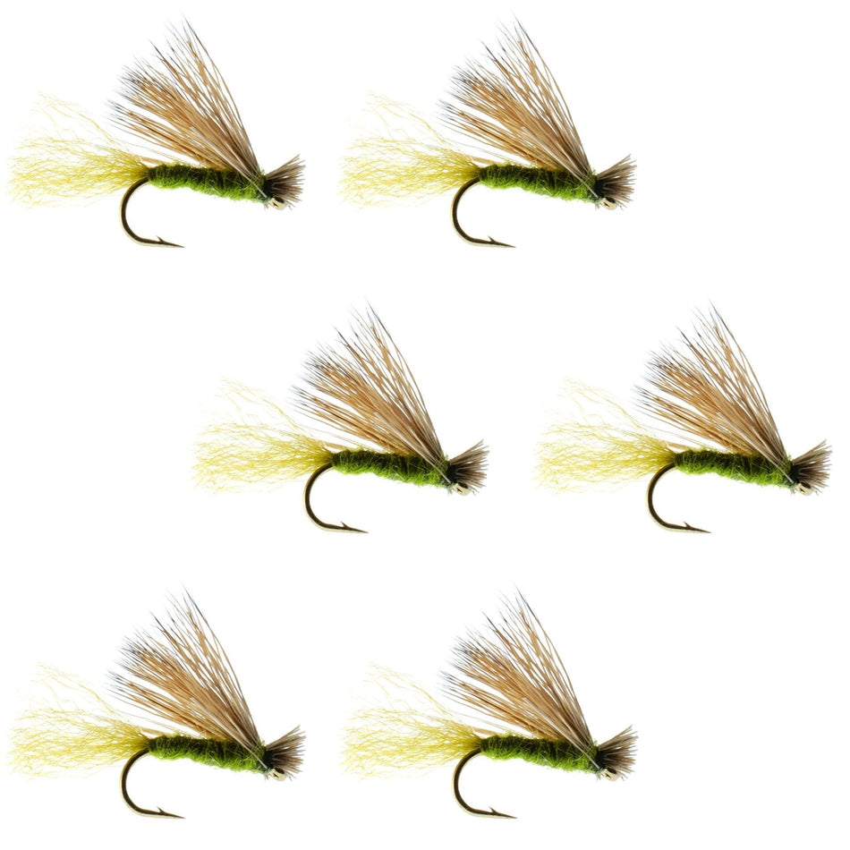 Olive X Caddis Emerging Caddis Adult Trout Dry Fly - 6 Flies Hook Size 16 - Get Tight Gear