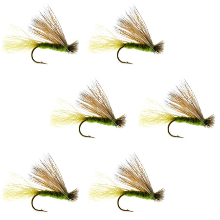 Olive X Caddis Emerging Caddis Adult Trout Dry Fly - 6 Flies Hook Size 18 - Get Tight Gear