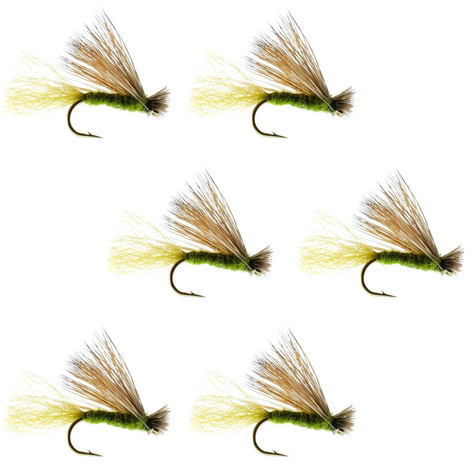 Olive X Caddis Emerging Caddis Adult Trout Dry Fly - 6 Flies Hook Size 18 - Get Tight Gear