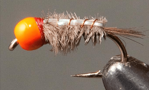 Orange Bead Head - Ray Charles - Grey - Get Tight Gear