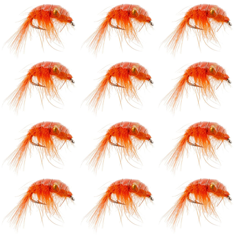 Orange Beaded Shrimp Scud Pattern - 1 Dozen Size 12 - Tailwater Lake Fly Fishing Nymph Flies - Get Tight Gear
