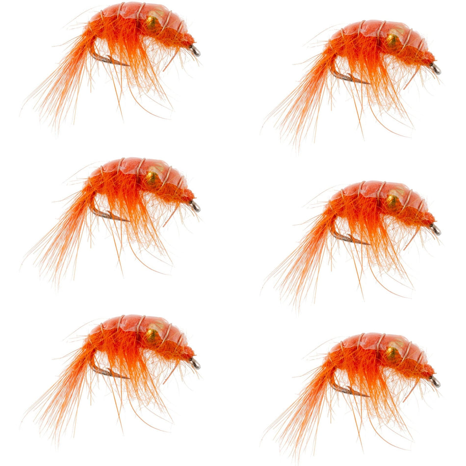 Orange Beaded Shrimp Scud Pattern - 6 Flies - Size 12 - Tailwater Lake Fly Fishing Nymph Flies - Get Tight Gear