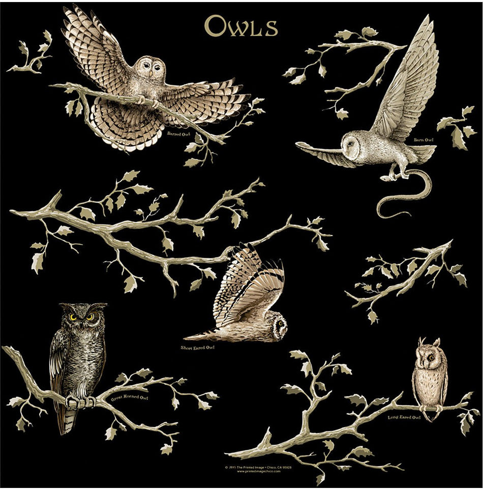 Owls Bandana - Get Tight Gear