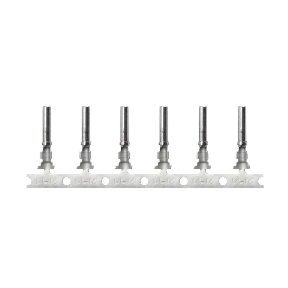 Pacer DT Deutsch Socket f/14 AWG Wire - Size 16 Contact (100 Pack) - Get Tight Gear