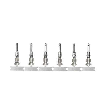 Pacer DTP Deutsch Pin f/10 AWG Wire - Size 12 Contact (25 Pack) - Get Tight Gear