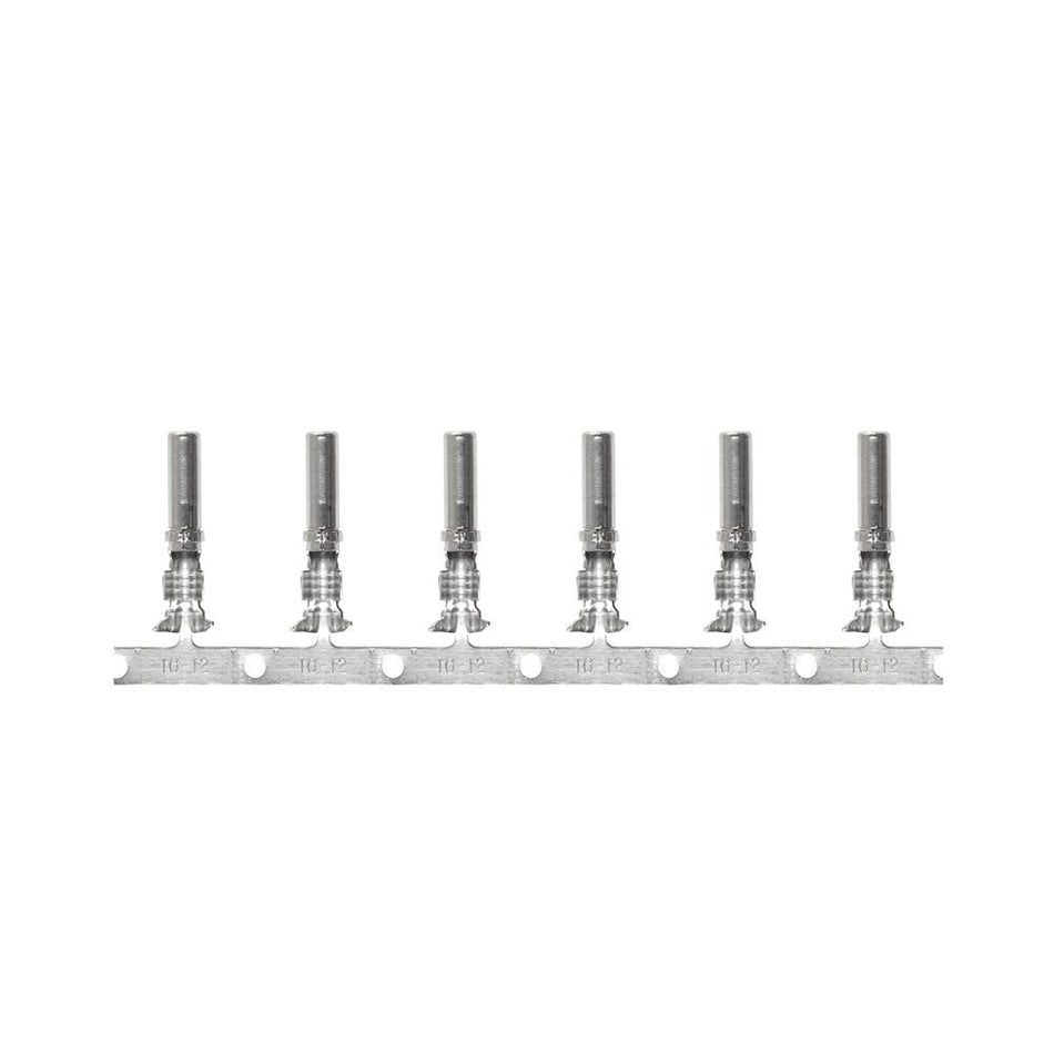 Pacer DTP Deutsch Socket f/10 AWG Wire - Size 12 Contact (10 Pack) - Get Tight Gear