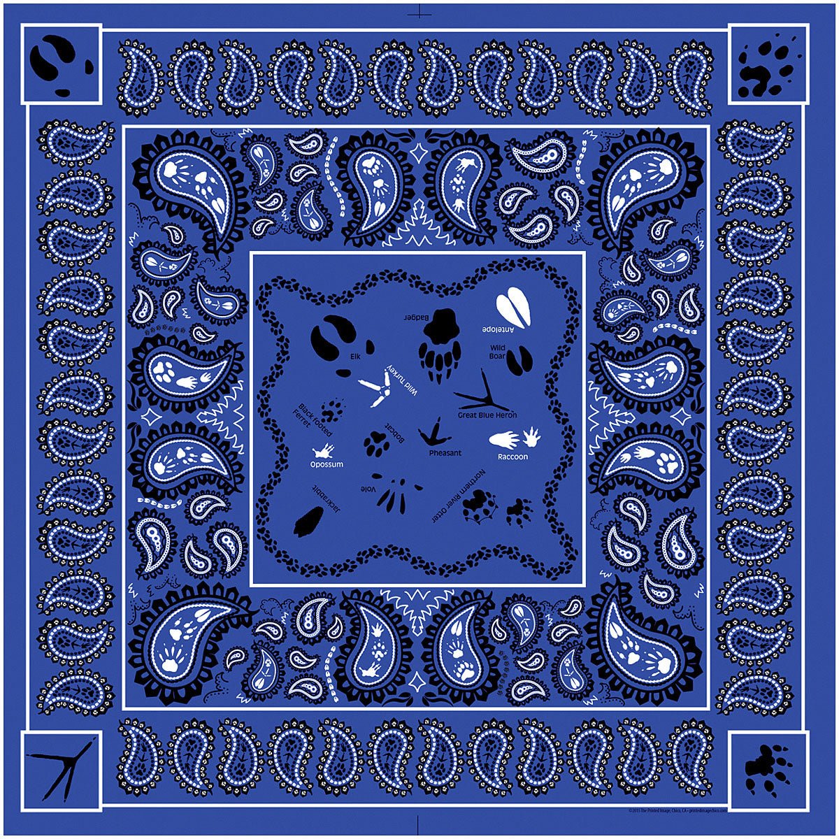 Paisley Tracks - Get Tight Gear