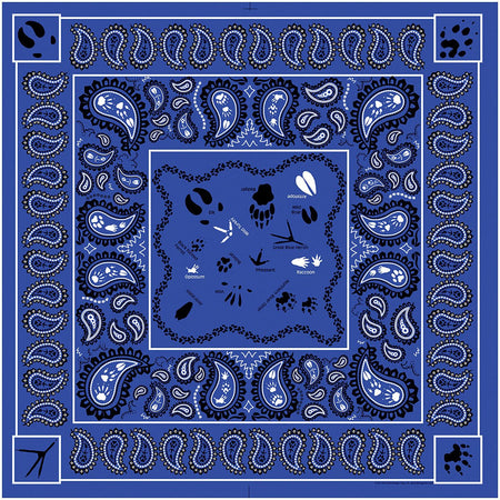 Paisley Tracks - Get Tight Gear