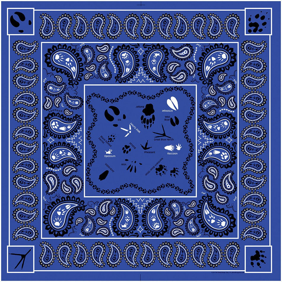 Paisley Tracks - Get Tight Gear