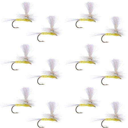 Pale Morning Dun Parachute PMD Classic Dry Fly - 1 Dozen Flies Hook Size 18 - Get Tight Gear