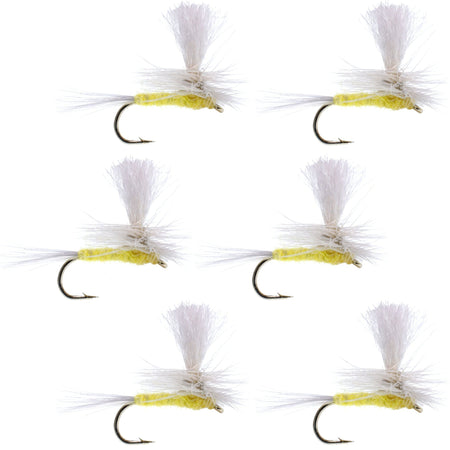 Pale Morning Dun Parachute PMD Classic Dry Fly - 6 Flies Hook Size 16 - Get Tight Gear