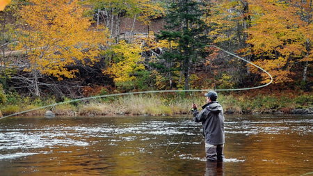Pale Morning Dun PMD Classic Dry Fly - 6 Flies Hook Size 14 - Get Tight Gear