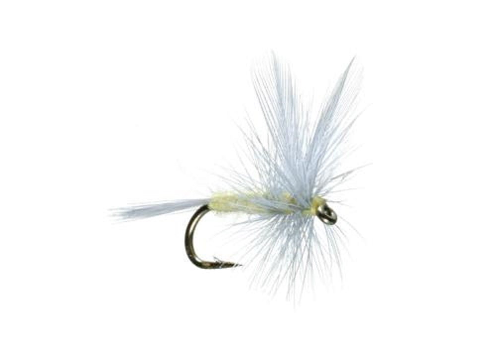 Pale Morning Dun PMD Classic Dry Fly - 6 Flies Hook Size 14 - Get Tight Gear
