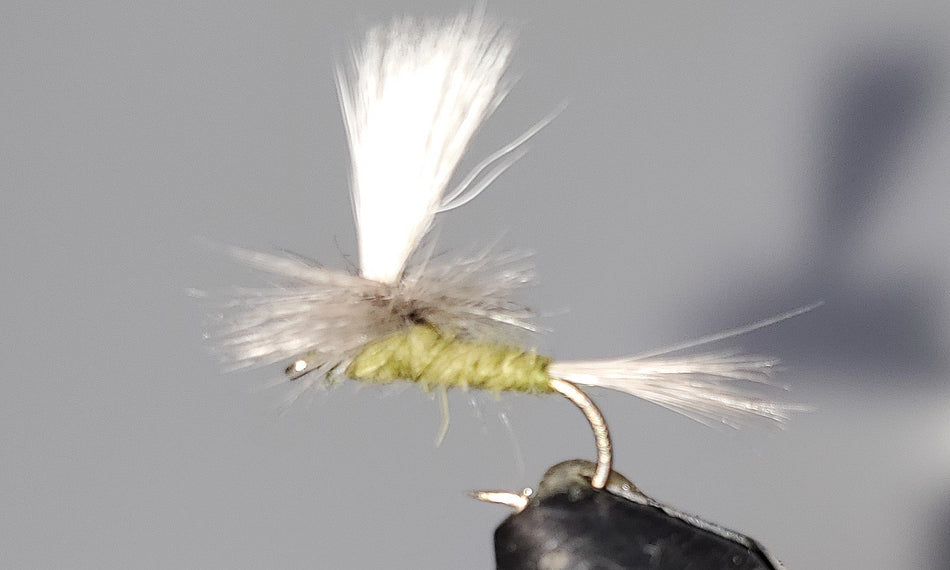 Parachute Blue Wing Olive - Get Tight Gear