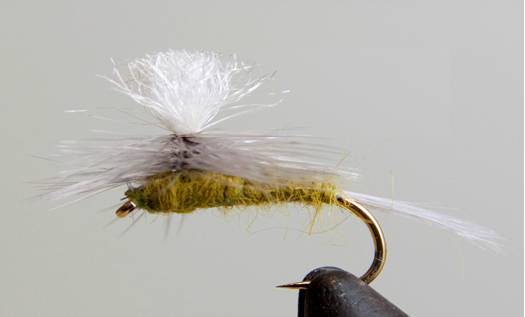 Parachute Blue Wing Olive - Get Tight Gear