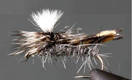 Parachute Caddis - Get Tight Gear
