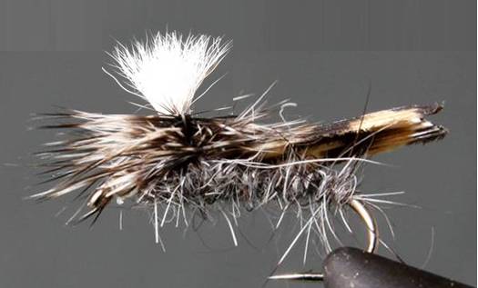 Parachute Caddis - Get Tight Gear