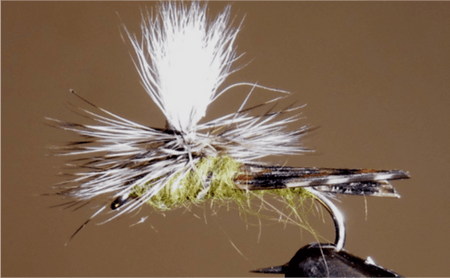 Parachute Caddis - Get Tight Gear
