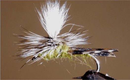 Parachute Caddis - Get Tight Gear