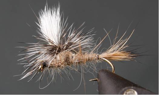 Parachute Caddis - Get Tight Gear