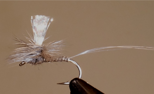 Parachute Crystal Drake - Grey - Get Tight Gear