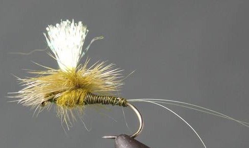 Parachute Crystal Drake - Olive - Get Tight Gear
