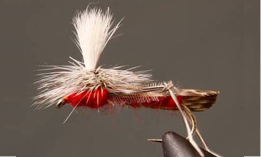 Parachute Hopper - Get Tight Gear
