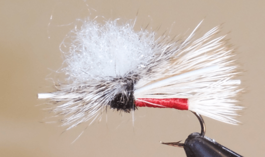 Parachute PMX / X - Hopper - Get Tight Gear