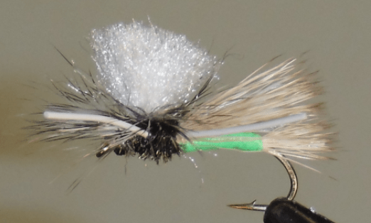 Parachute PMX / X - Hopper - Get Tight Gear