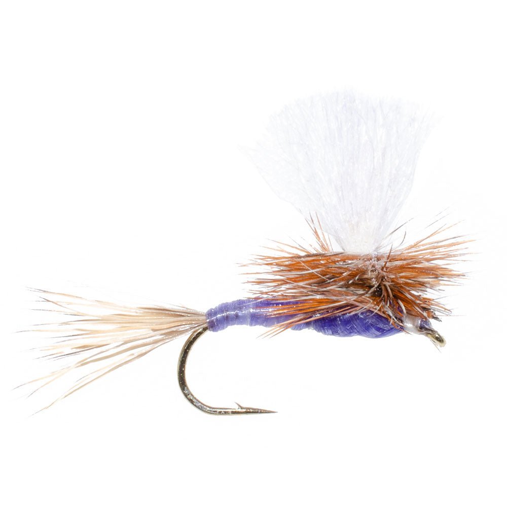 Parachute Purple Haze Dry Fly - 12 Flies Size 12 - Get Tight Gear
