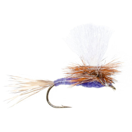 Parachute Purple Haze Dry Fly - 12 Flies Size 12 - Get Tight Gear