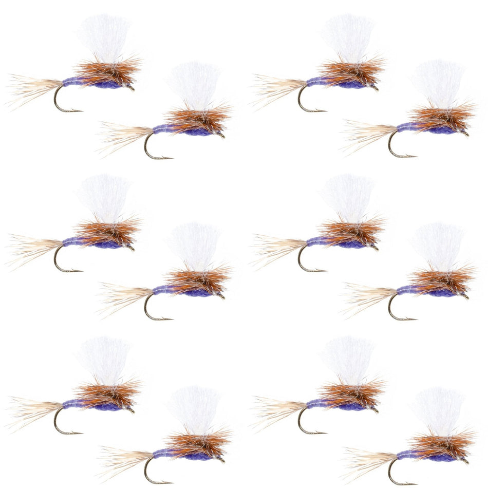 Parachute Purple Haze Dry Fly - 12 Flies Size 14 - Get Tight Gear