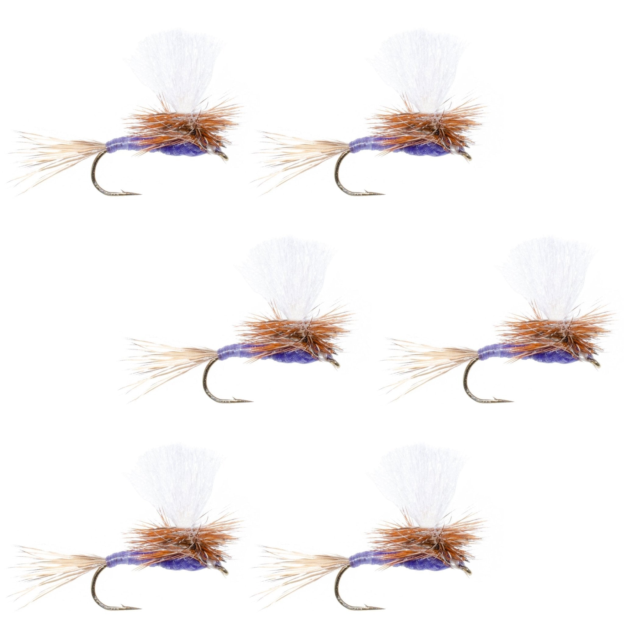 Parachute Purple Haze Dry Fly - 6 Flies Size 12 - Get Tight Gear