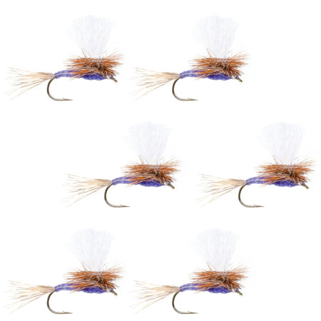 Parachute Purple Haze Dry Fly - 6 Flies Size 12 - Get Tight Gear