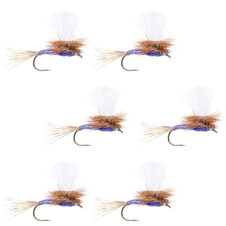 Parachute Purple Haze Dry Fly - 6 Flies Size 16 - Get Tight Gear