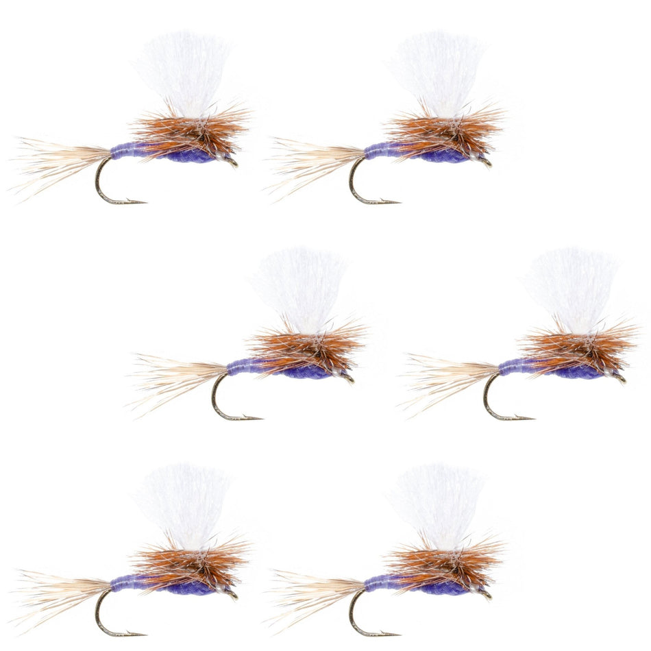 Parachute Purple Haze Dry Fly - 6 Flies Size 16 - Get Tight Gear