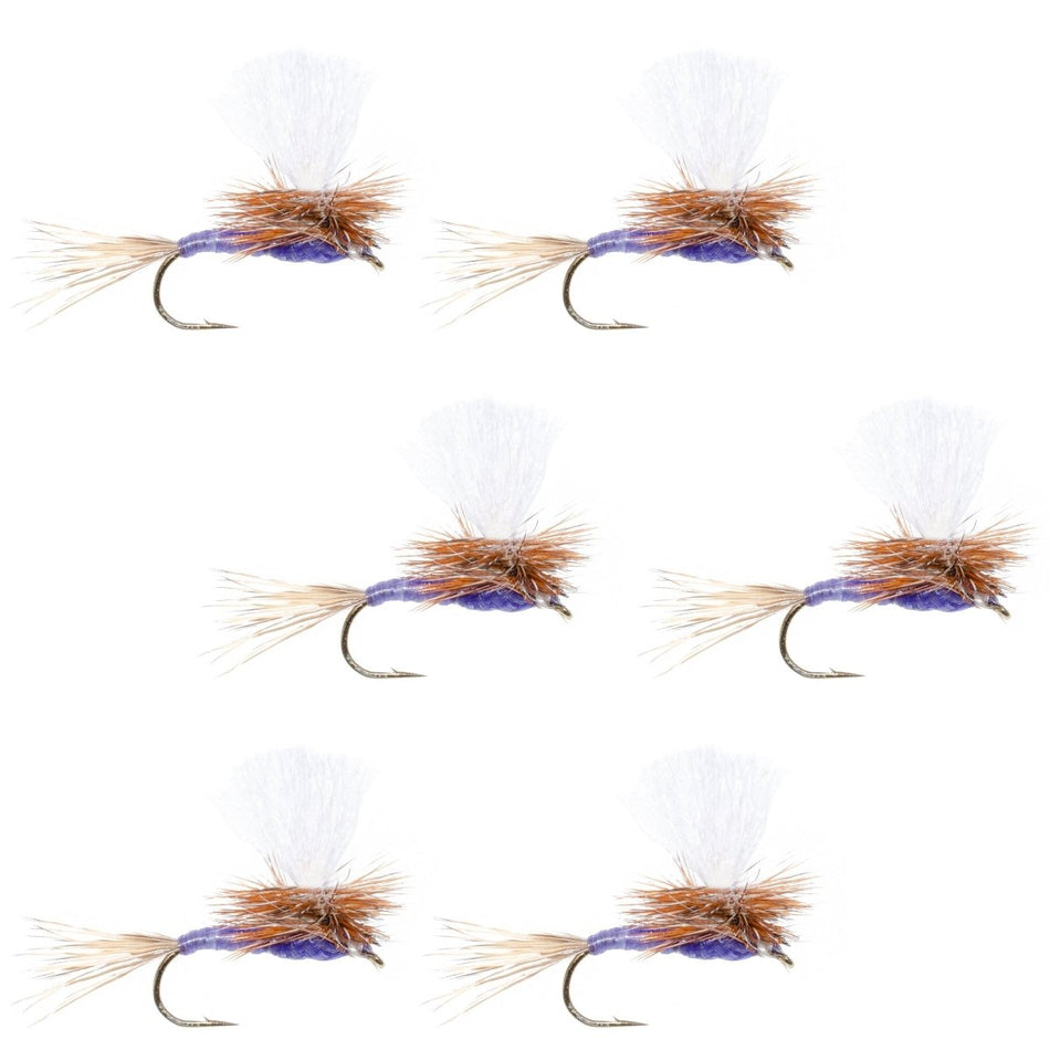 Parachute Purple Haze Dry Fly - 6 Flies Size 18 - Get Tight Gear