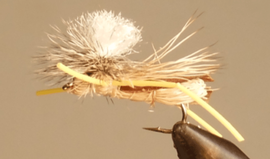 Parachute Stone Hopper - Get Tight Gear