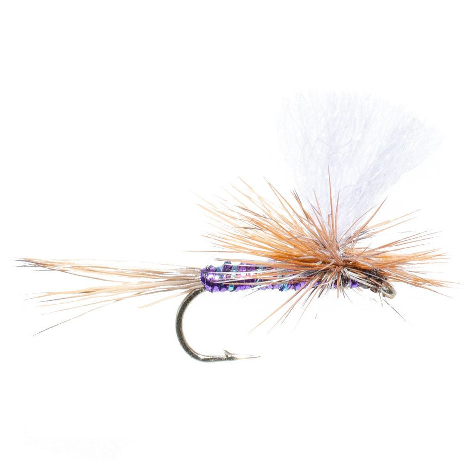 Parachute Super Flash Purple Haze Dry Fly - 12 Flies Size 12 - Get Tight Gear