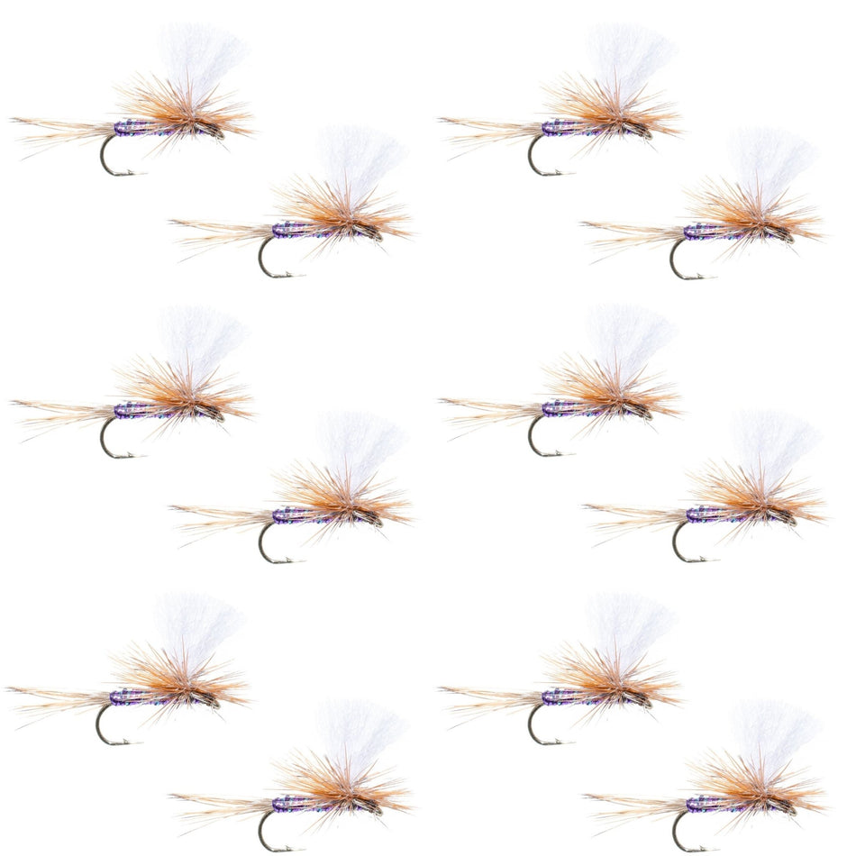 Parachute Super Flash Purple Haze Dry Fly - 12 Flies Size 18 - Get Tight Gear
