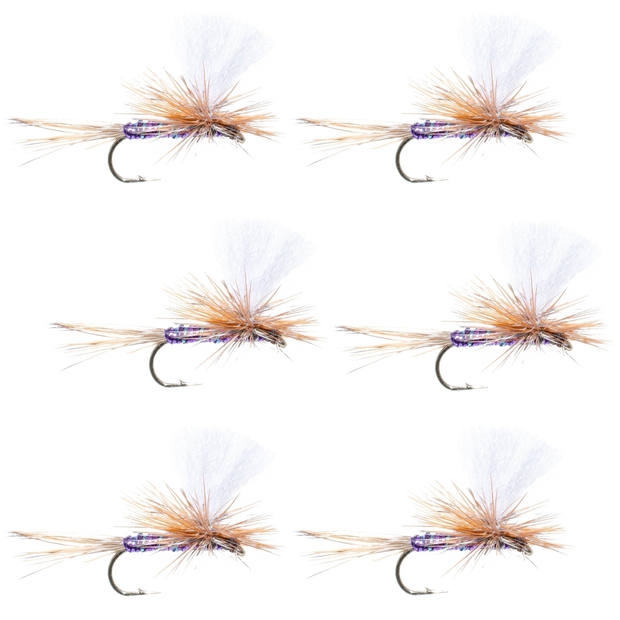 Parachute Super Flash Purple Haze Dry Fly - 6 Flies Size 14 - Get Tight Gear