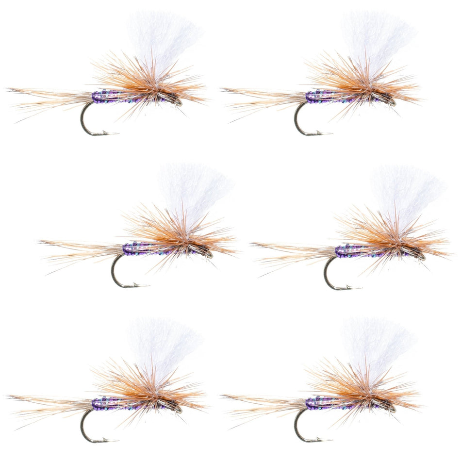 Parachute Super Flash Purple Haze Dry Fly - 6 Flies Size 14 - Get Tight Gear