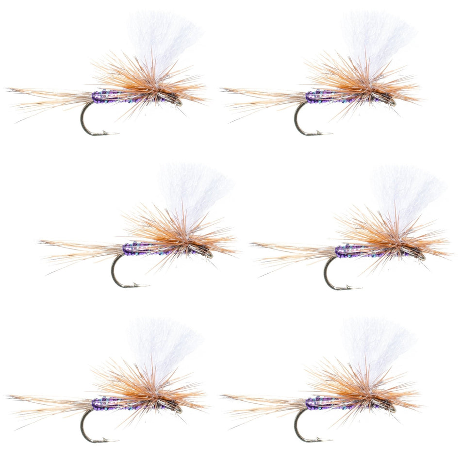 Parachute Super Flash Purple Haze Dry Fly - 6 Flies Size 18 - Get Tight Gear