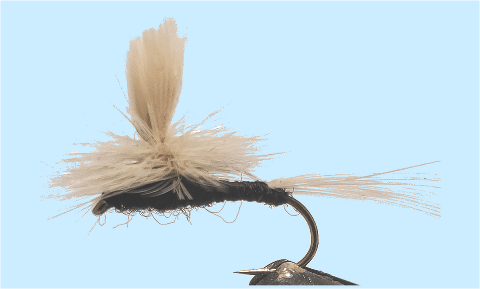 Parachute Trico - Get Tight Gear