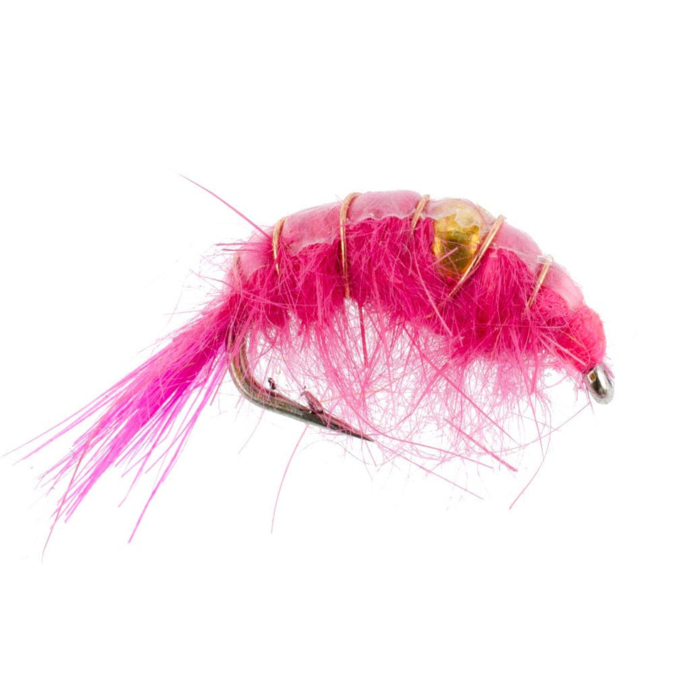 Pink Beaded Shrimp Scud Pattern - 1 Dozen Size 12 - Tailwater Lake Fly Fishing Nymph Flies - Get Tight Gear