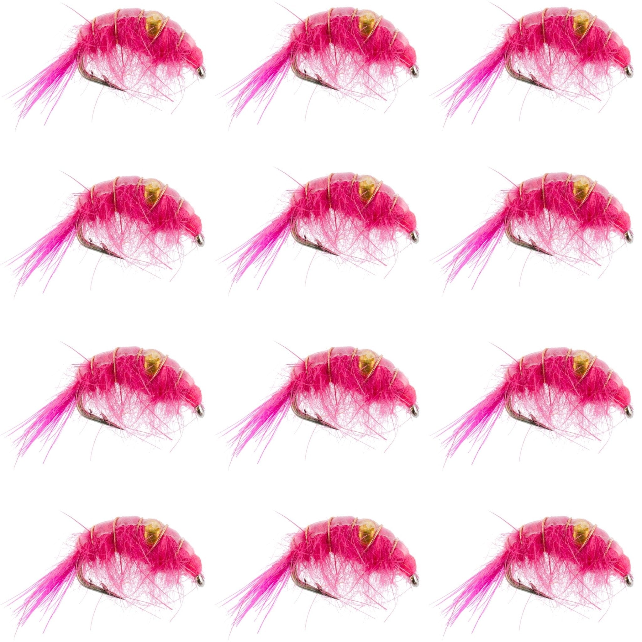 Pink Beaded Shrimp Scud Pattern - 1 Dozen Size 12 - Tailwater Lake Fly Fishing Nymph Flies - Get Tight Gear