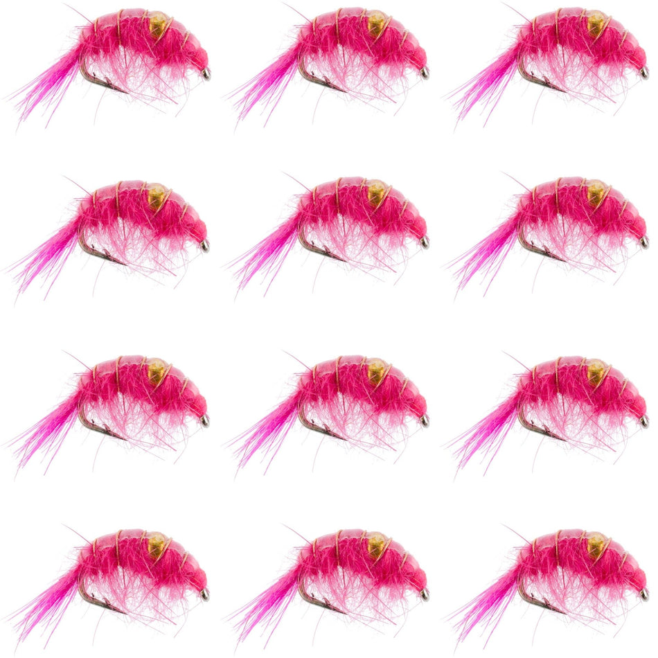 Pink Beaded Shrimp Scud Pattern - 1 Dozen Size 12 - Tailwater Lake Fly Fishing Nymph Flies - Get Tight Gear