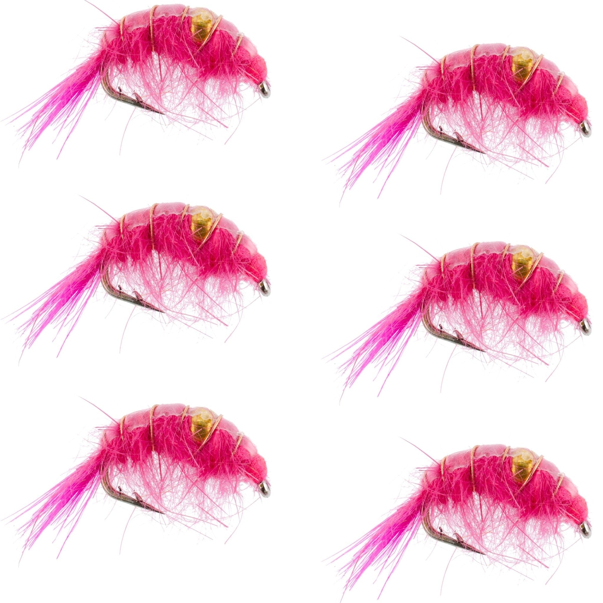 Pink Beaded Shrimp Scud Pattern - 6 Flies - Size 12 - Tailwater Lake Fly Fishing Nymph Flies - Get Tight Gear