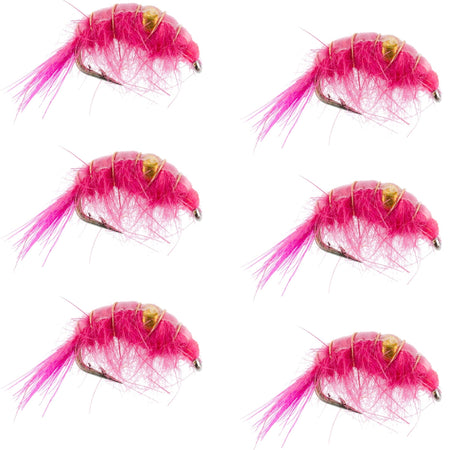 Pink Beaded Shrimp Scud Pattern - 6 Flies - Size 12 - Tailwater Lake Fly Fishing Nymph Flies - Get Tight Gear