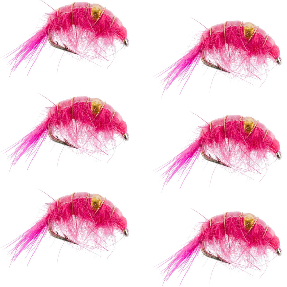 Pink Beaded Shrimp Scud Pattern - 6 Flies - Size 12 - Tailwater Lake Fly Fishing Nymph Flies - Get Tight Gear
